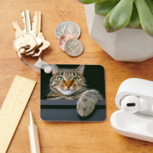 Llavero Animales de bebé más afectados   Gris Tabby Cat Fa