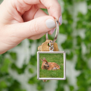 Llavero Animales de bebé más afectados Little Fawn