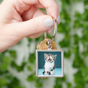 Llavero Animales de bebé más afectados Meowing Baby Kitt
