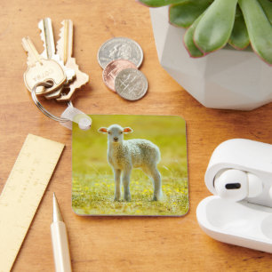 Llavero Animales de bebé más afectados Ovejas jóvenes