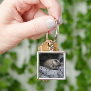 Llavero Animales de bebé más afectados Pequeño Gatito Do