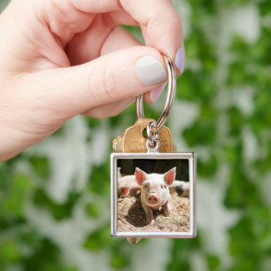 Llavero Animales de bebé más afectados Pizarra De Bebé