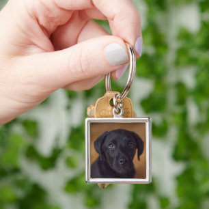 Llavero Animales de bebé más afectados   Puppy de Labrador