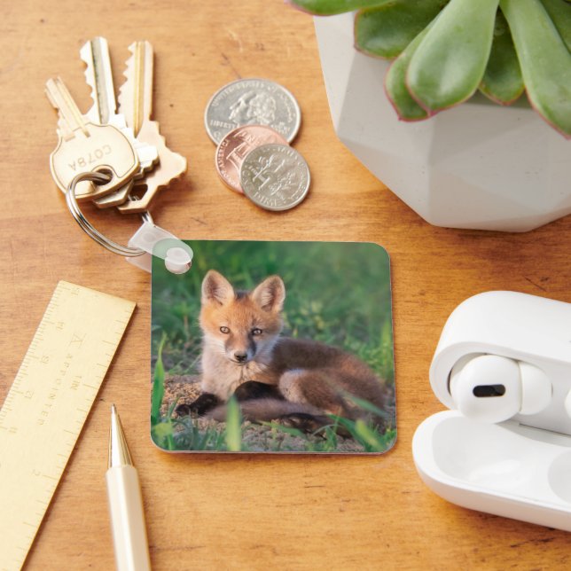 Llavero Animales de bebé más afectados | Red Fox Kit Relax (Escritorio )