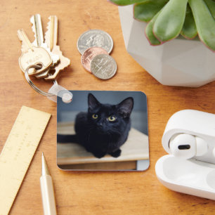 Llavero Animales de bebé más afectados   Retrato de un gat