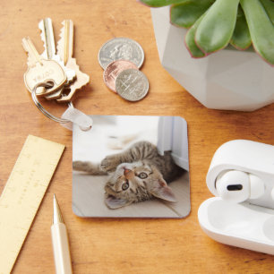 Llavero Animales de bebé más afectados Shorthair Tabby K