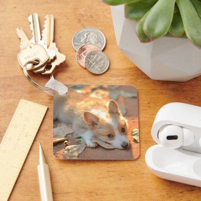 Llavero Animales de bebé más afectados | Shy Corgi (Escritorio )