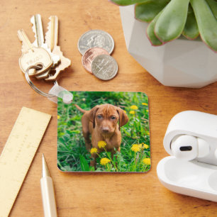 Llavero Animales de bebé más afectados Tubería de punter