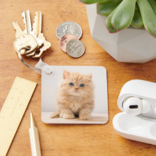 Llavero Animales de bebé más afectados   Un Gatito Británi