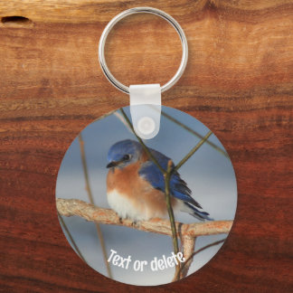 Llavero Animales de Bluebird personalizados