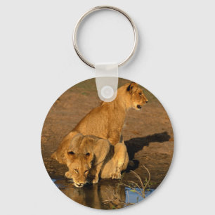 Llavero animales salvajes 300