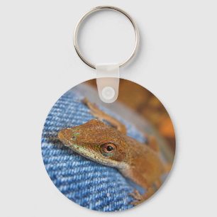 Llavero Anole Lizard