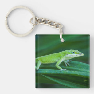 Llavero Anole Lizard
