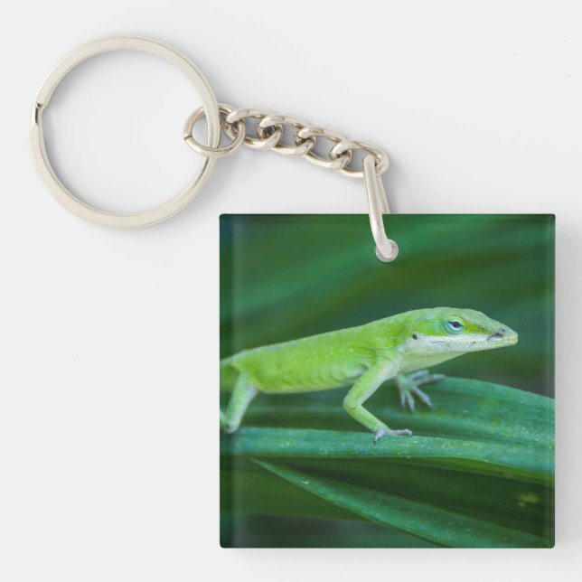 Llavero Anole Lizard (Frente)