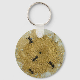 Llavero Ant Hill Key Chain