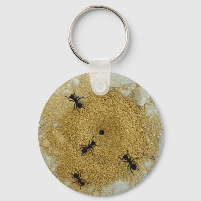 Llavero Ant Hill Key Chain (Anverso)