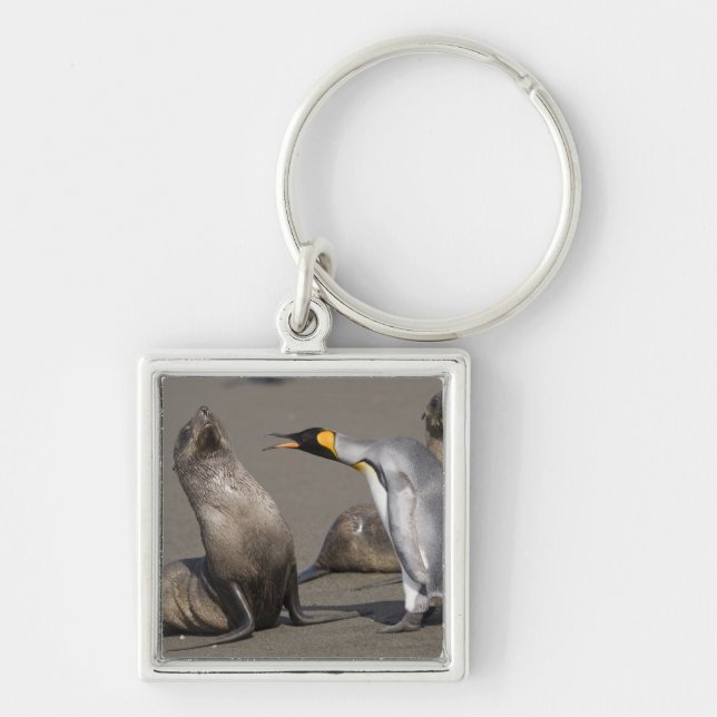 Llavero Antártida, Isla de Georgia del Sur (Reino Unido),  (Frente)