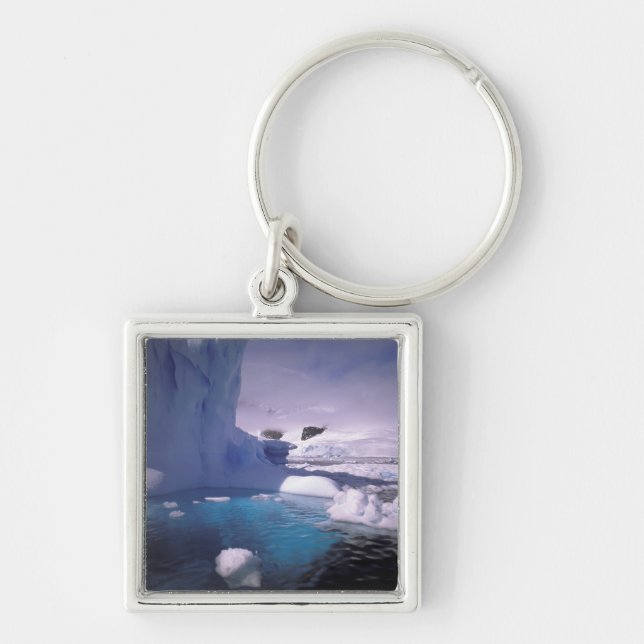 Llavero Antártida. Niveles antárticos 2 (Frente)