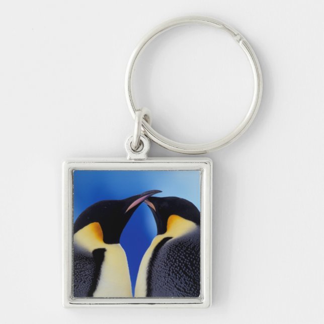 Llavero Antártida, Pingüinos Emperadores (Frente)