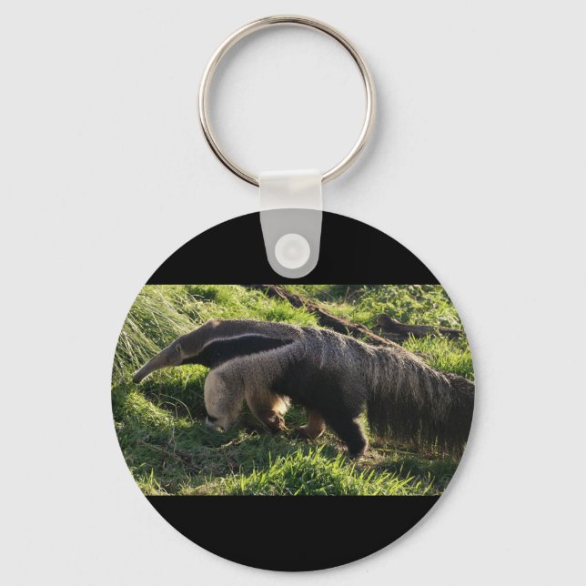 Llavero Anteater Keychain gigante (Anverso)