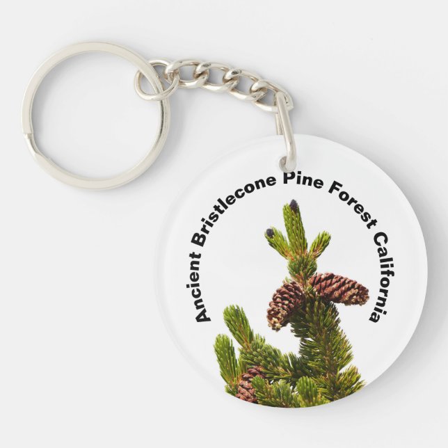 Llavero Antiguo bosque Bristlecone Pine California (Frente)