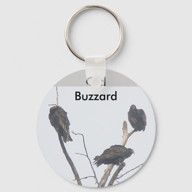 Llavero Antiguo Keychain Buzzard (Anverso)