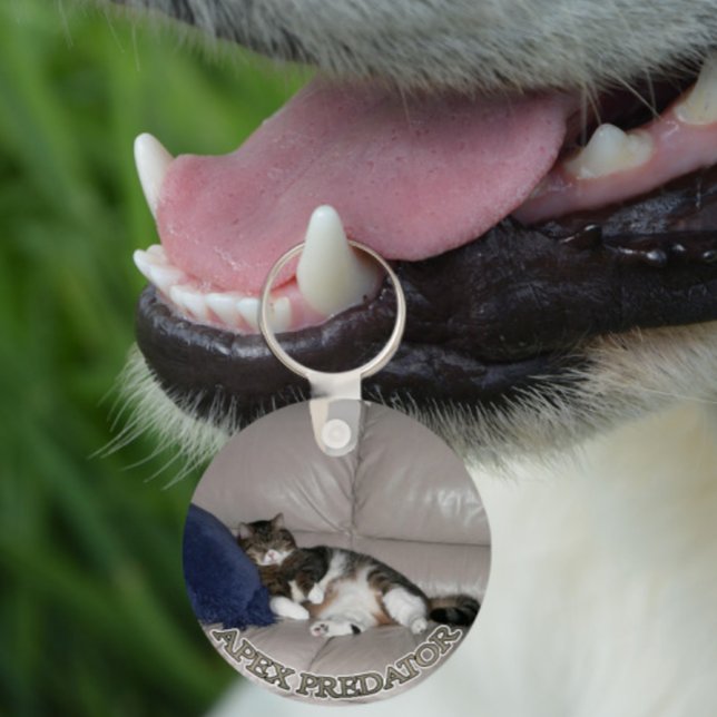 Llavero Apex Predator Fat lazy cat keychain (Subido por el creador)