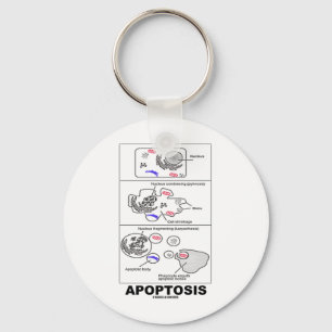 Llavero Apoptosis (muerte celular de la biología)