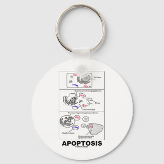 Llavero Apoptosis (muerte de células de la biología)
