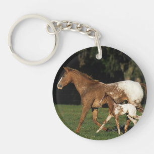 Llavero Appaloosa Mare Y Fool
