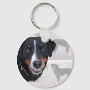 Llavero “Appenzeller Sennenhund "