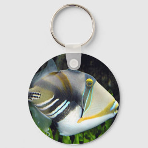 Llavero aquatic scenes trigger fish