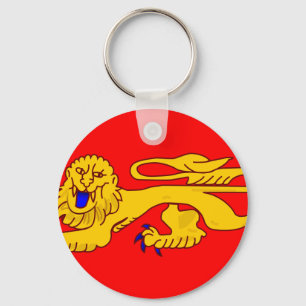 Llavero Aquitania, bandera de Francia