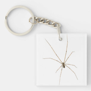 Llavero Araña