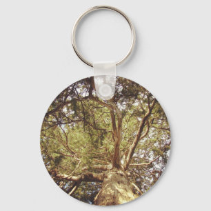Llavero Árbol