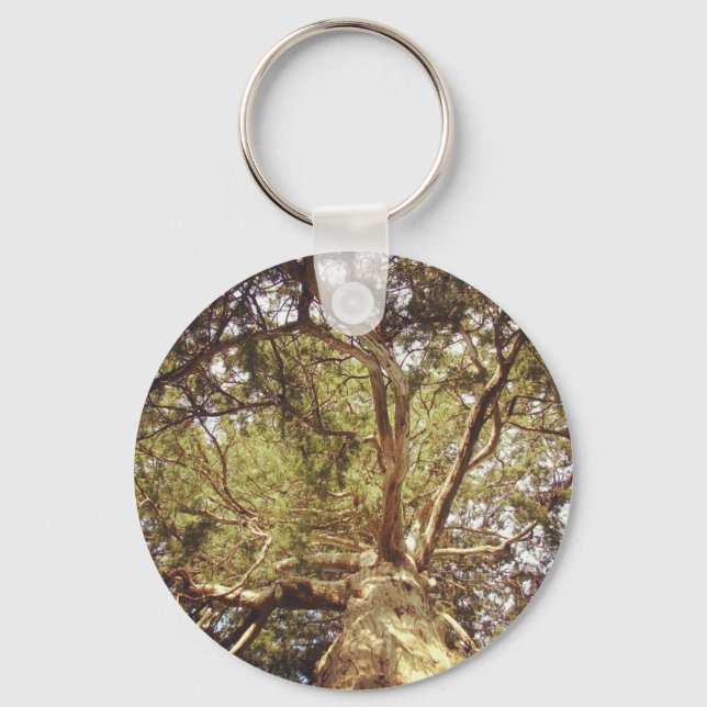 Llavero Árbol (Anverso)