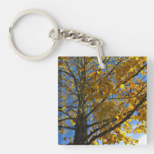 Llavero Árbol Amarillo de Otoño