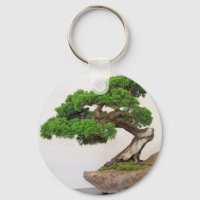 Árbol bonsai natural