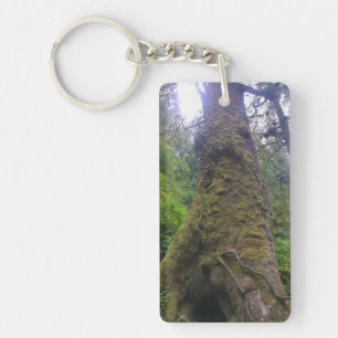 Llavero Árbol de mojigón gigante, Cabo Perpetua, Oregón