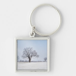 Llavero Árbol de roble de invierno resaltado