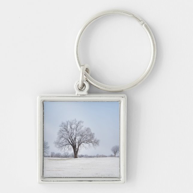 Llavero Árbol de roble de invierno resaltado (Frente)
