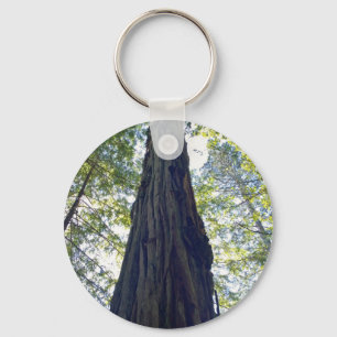 Llavero Árbol de secuoya gigante sin fin