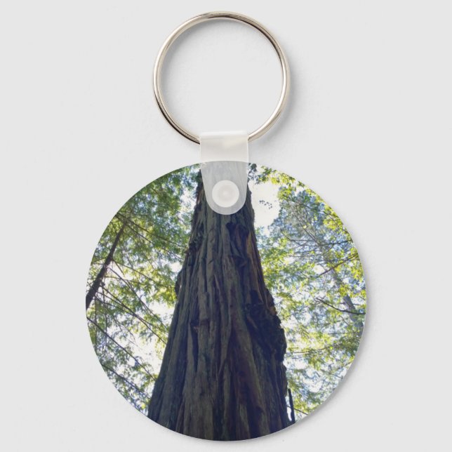 Llavero Árbol de secuoya gigante sin fin (Anverso)