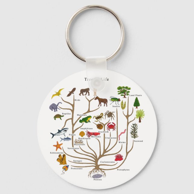 Llavero Árbol De Vida (Anverso)