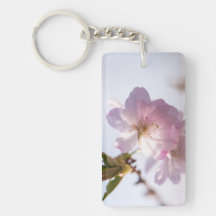 Árbol floreciente de primavera