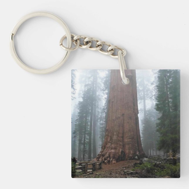 Llavero Árbol general Sherman, Sequoia, CA (Frente)