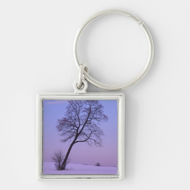 Llavero Árbol inclinado en campo nevado; Condado de Chippe (Frente)