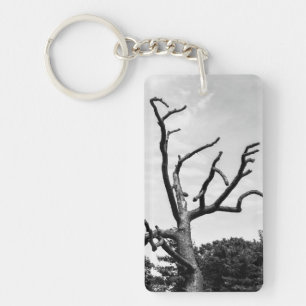 Llavero árbol libre