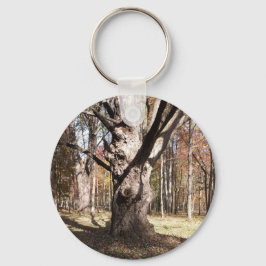 Llavero Árbol raro