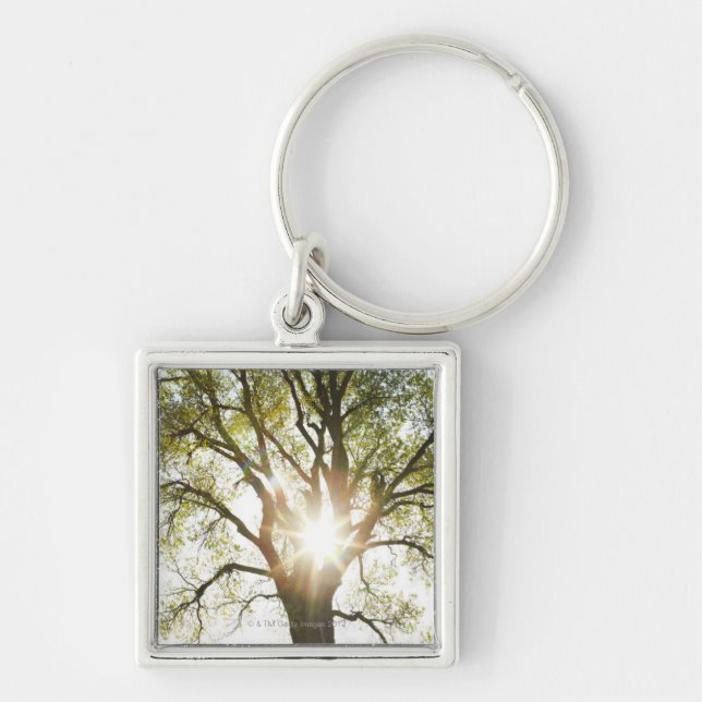 Llavero Árbol Sunlit (Frente)